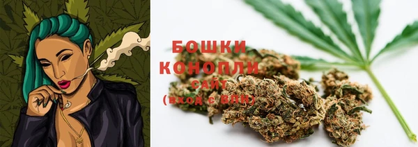 хмурый Богородицк