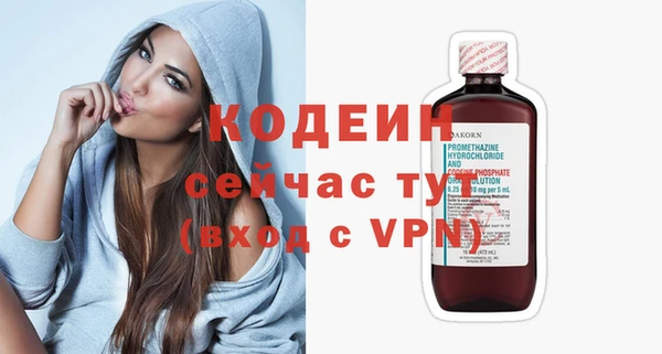 хмурый Богородицк