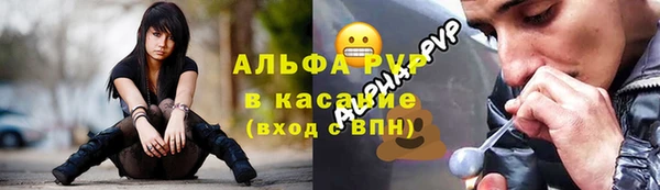 сатива Богородск