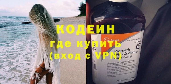 шишки Бородино