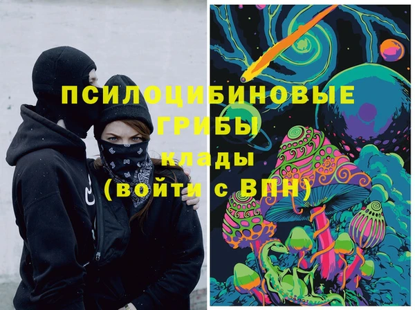 мескалин Тайга